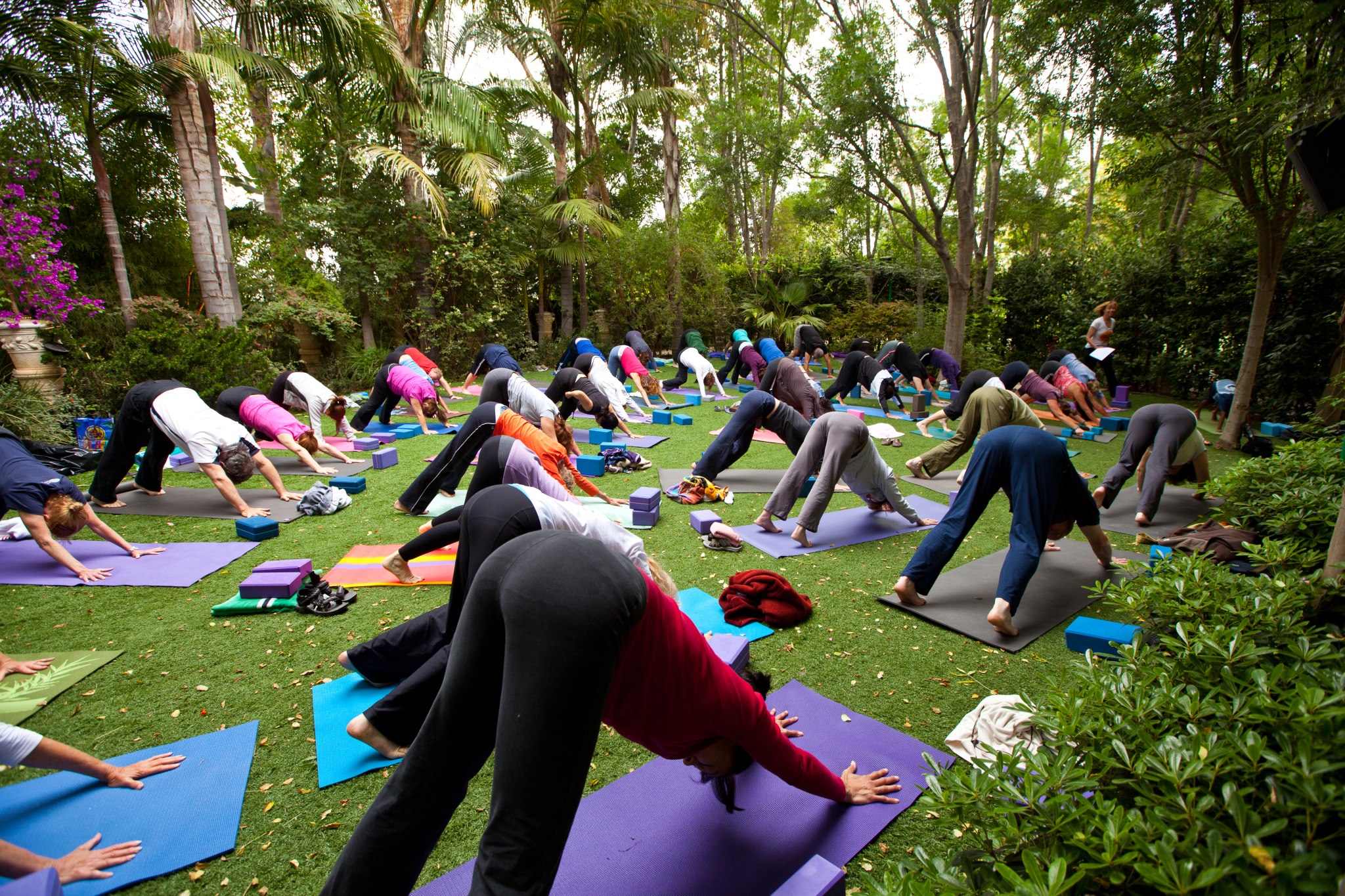 Seated twist in Zoom class